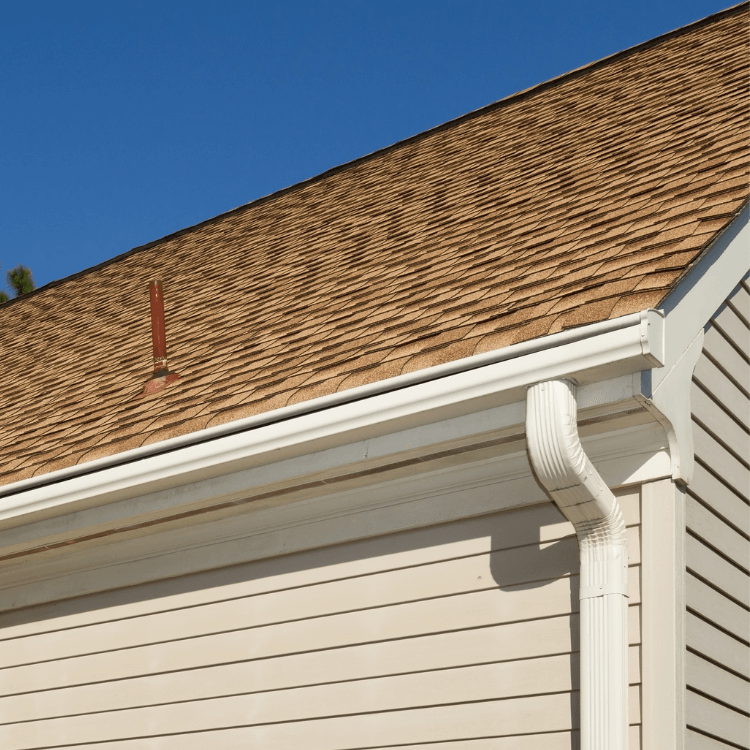 What Makes Drainpipes Smell